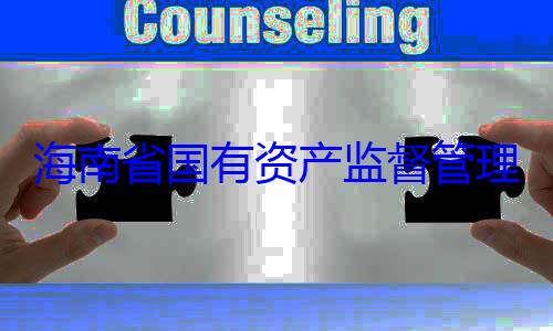 委副书记王资产监督管海南省国有理委员会党查调查有福接受审